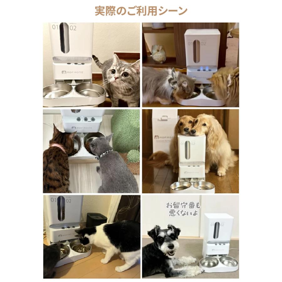 自動給餌器 猫 2匹 犬 自動餌やり機 多頭 ペット 餌 自動 5l 大