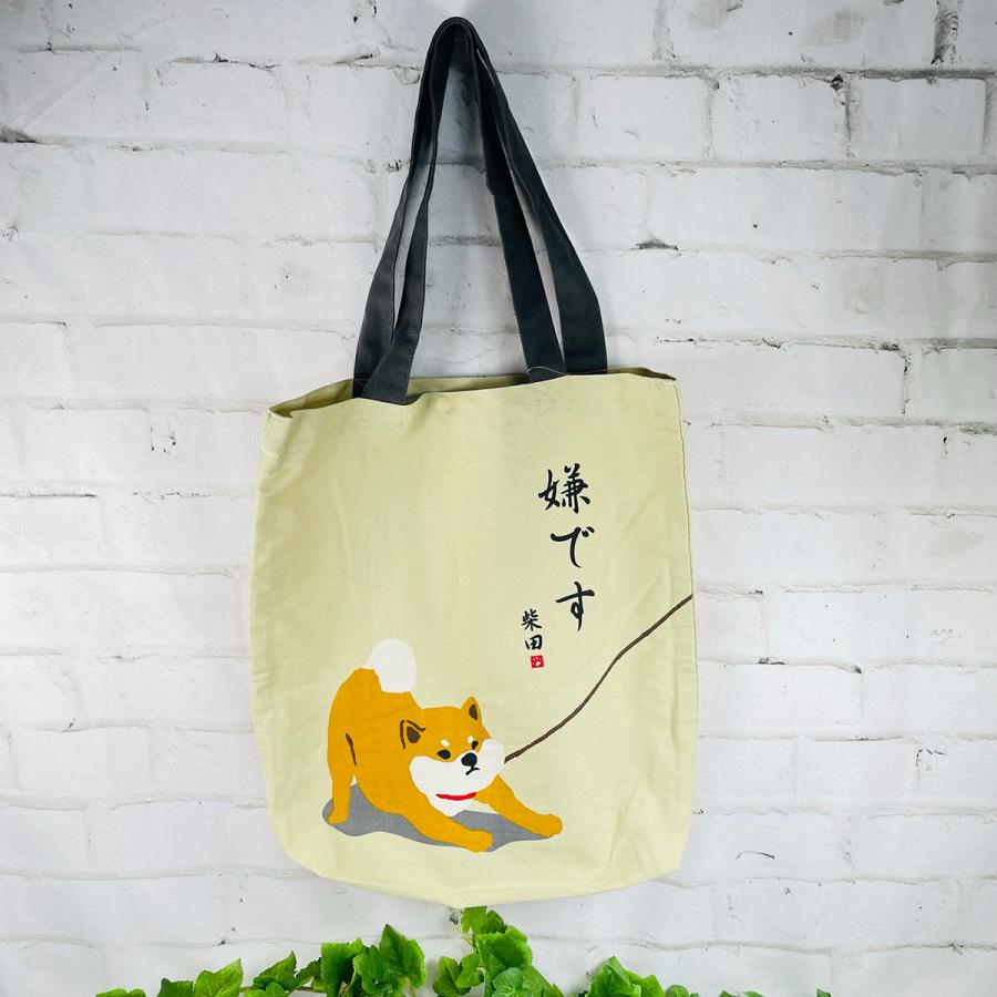 tyler the creator VIP特典 ビッグトートバッグ ＆ パス Tyler The Creator VIP ツアー グッズ - メルカリ