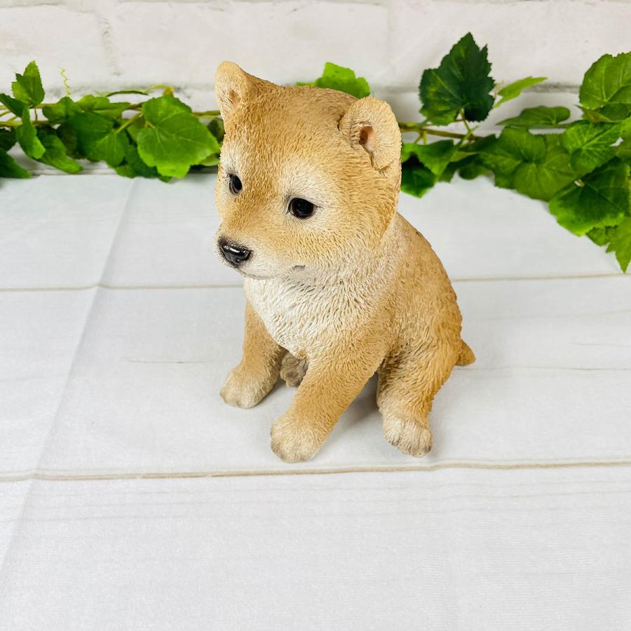 ベニーズ Benny S 犬オブジェ 柴犬 こども お座り Qy 039 モフタス ストア ヤフー店 通販 Yahoo ショッピング