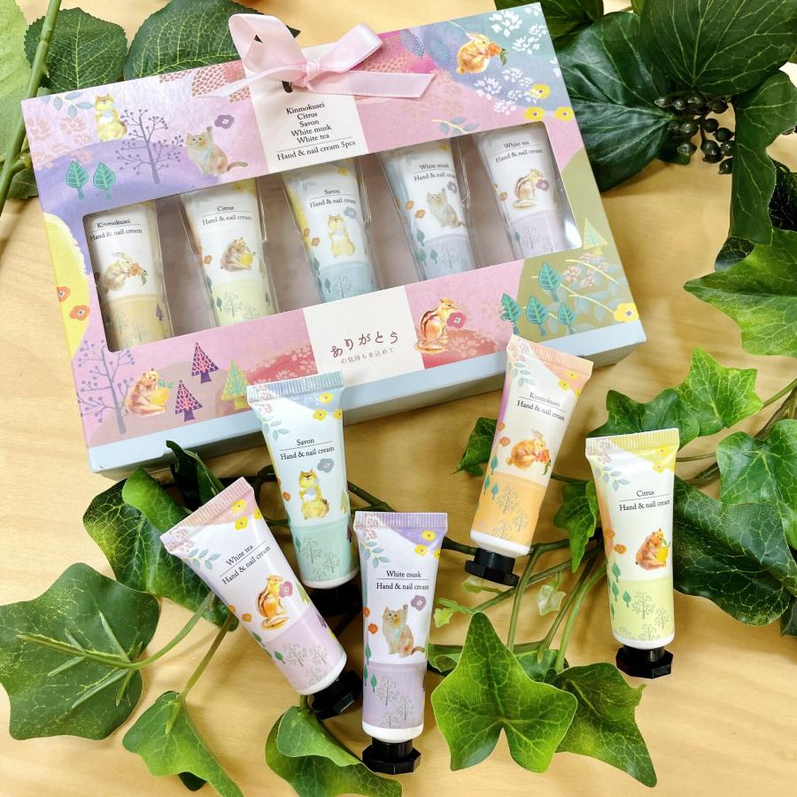 ハンドクリーム５本セット ほんやら堂 ギフトにぴったり ハンドクリーム5本セット フォレスト