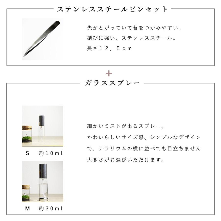 苔テラリウム用 お手入れセット ピンセット スプレー 定形外ok Itmt01 苔テラリウム 雑貨mofumofu Moss 通販 Yahoo ショッピング