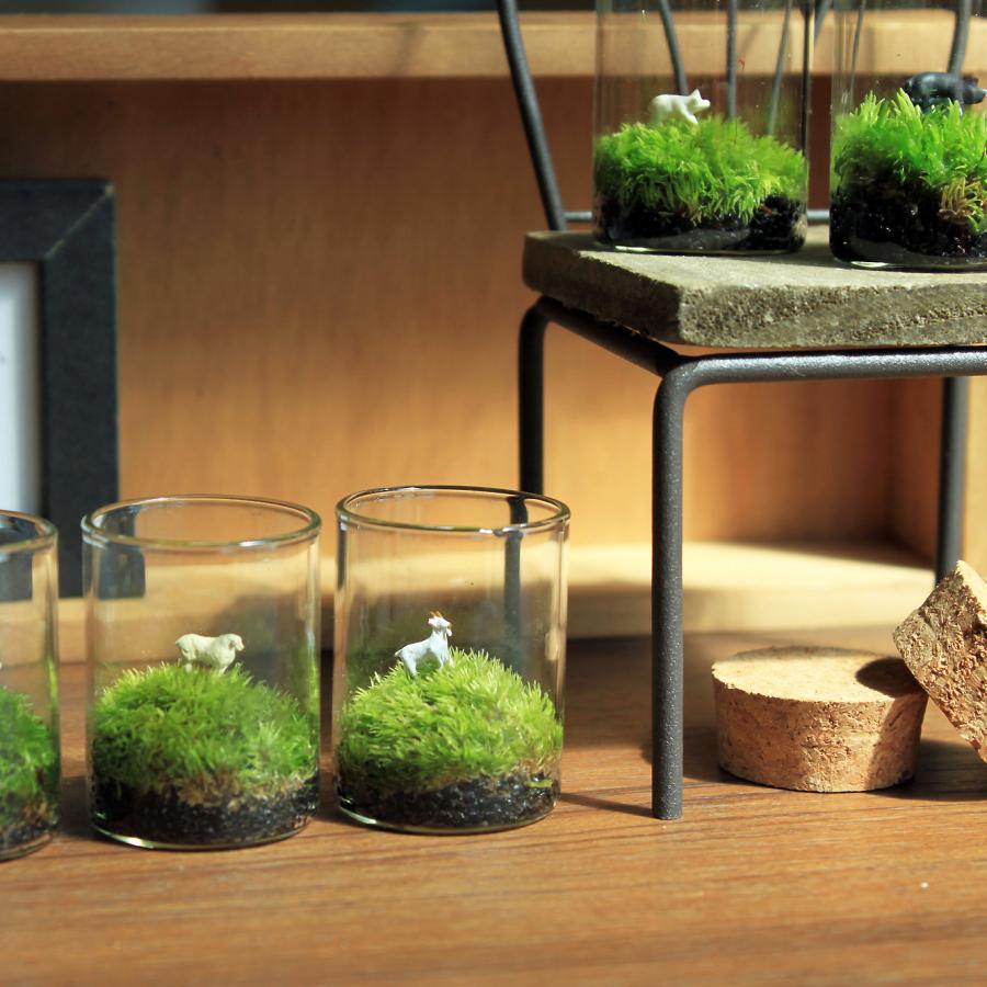 苔テラリウム 動物のいる草原 植物 ギフト プレゼント 癒し 定形外OK