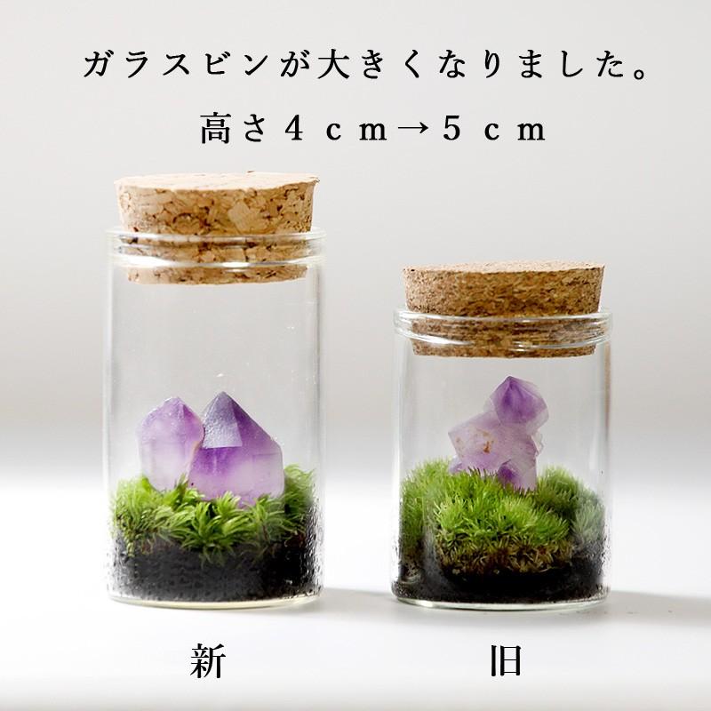 苔テラリウム 鉱物と苔 植物 母の日 父の日 プレゼント ギフト レビューでおまけ 定形外ok Tr1004 苔テラリウム 雑貨mofumofu Moss 通販 Yahoo ショッピング