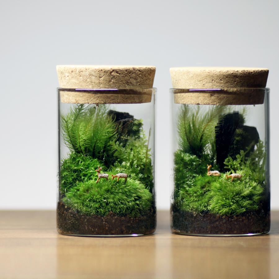 苔テラリウム 小鹿がたたずむ苔の森 植物 鉱物 ギフト 苔テラリウム 小鹿がたたずむ苔の森 植物 鉱物 ギフト