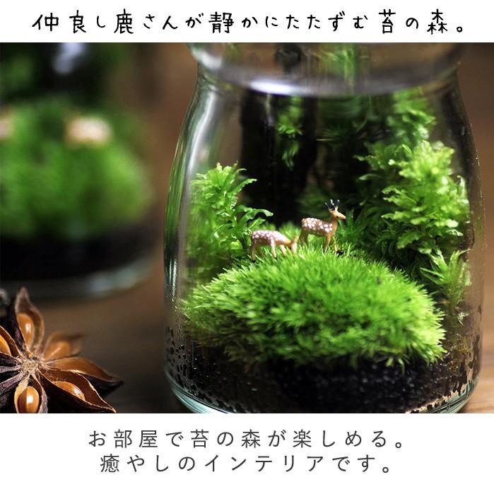 苔テラリウム 小鹿がたたずむ苔の森 植物 鉱物 ギフト プレゼント レビューでおまけ 定形外OK｜mofumofumoss｜02