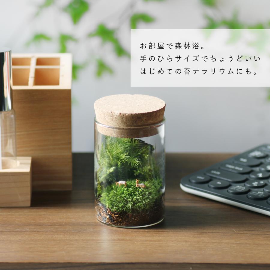 苔テラリウム 小鹿がたたずむ苔の森 植物 鉱物 ギフト 苔テラリウム 小鹿がたたずむ苔の森 植物 鉱物 ギフト