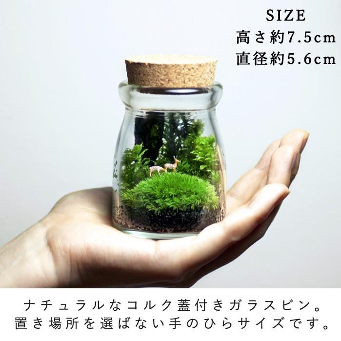 苔テラリウム 小鹿がたたずむ苔の森 植物 鉱物 ギフト プレゼント レビューでおまけ 定形外OK｜mofumofumoss｜05