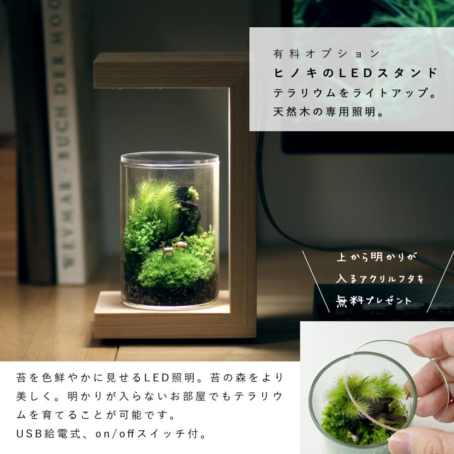 苔テラリウム 小鹿がたたずむ苔の森 植物 鉱物 ギフト ラッピング 癒し プレゼント |  | 07