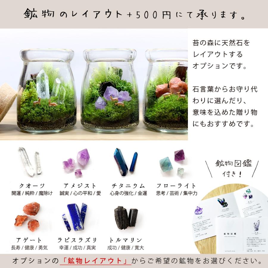 苔テラリウム 小鹿がたたずむ苔の森 植物 鉱物 ギフト プレゼント レビューでおまけ 定形外OK｜mofumofumoss｜06