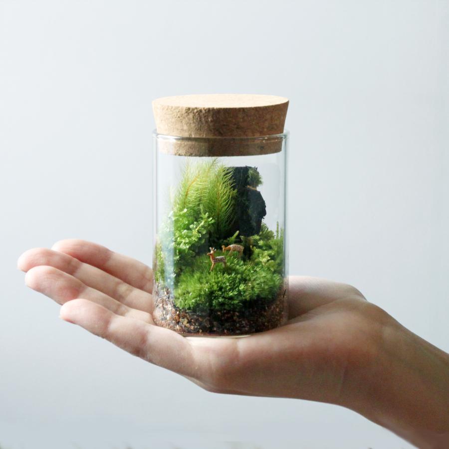 苔テラリウム 小鹿がたたずむ苔の森 植物 鉱物 ギフト ラッピング 癒し プレゼント |  | 04