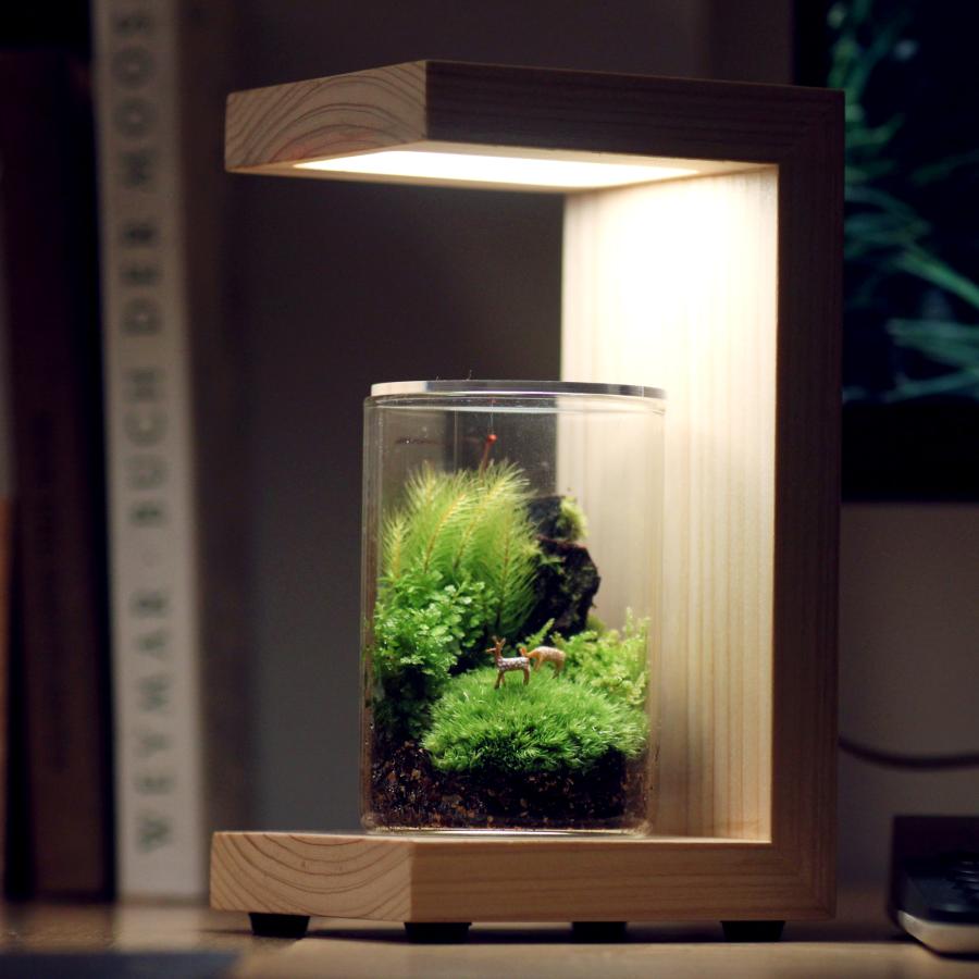 苔テラリウム 小鹿がたたずむ苔の森 植物 鉱物 ギフト ラッピング 癒し プレゼント |  | 06