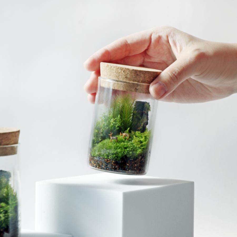 苔テラリウム 小鹿がたたずむ苔の森 植物 鉱物 ギフト ラッピング 癒し プレゼント |  | 05