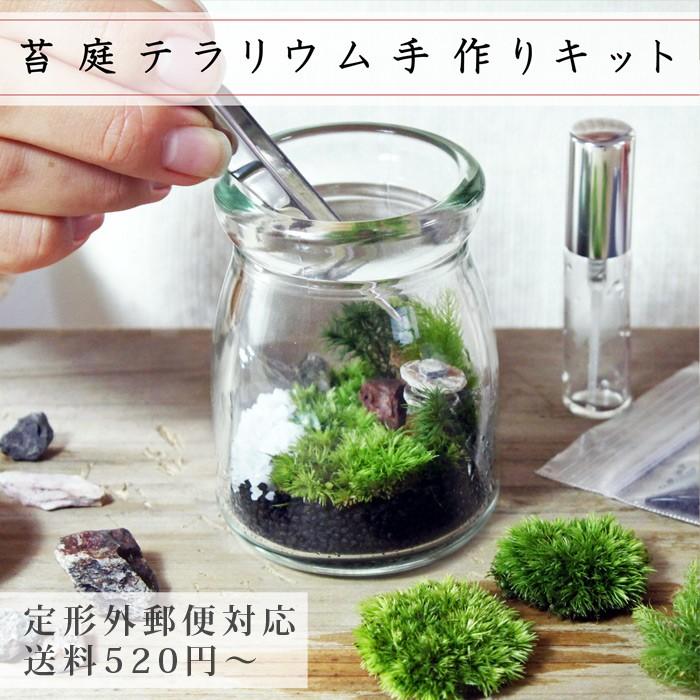 苔庭テラリウム手作りキット 植物 DIY ギフト プレゼント レビューでおまけ 定形外OK｜mofumofumoss