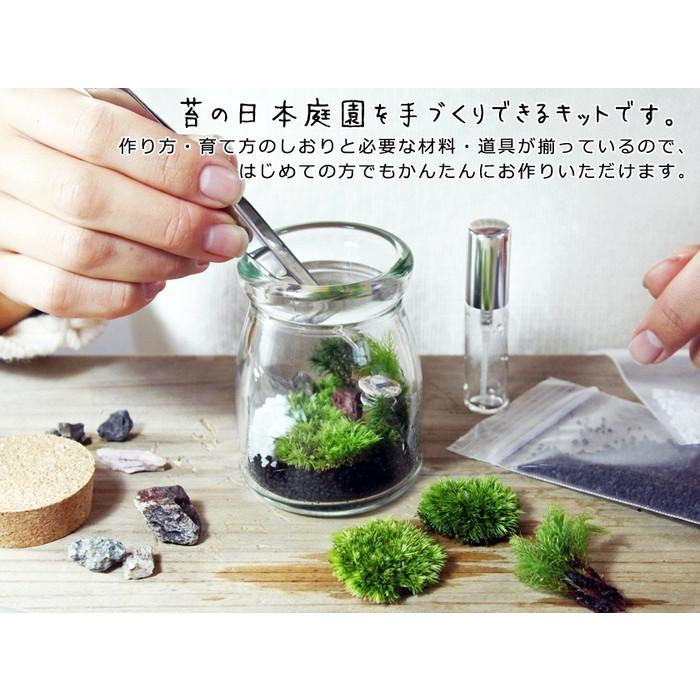 苔庭テラリウム手作りキット 植物 DIY ギフト プレゼント レビューでおまけ 定形外OK｜mofumofumoss｜02