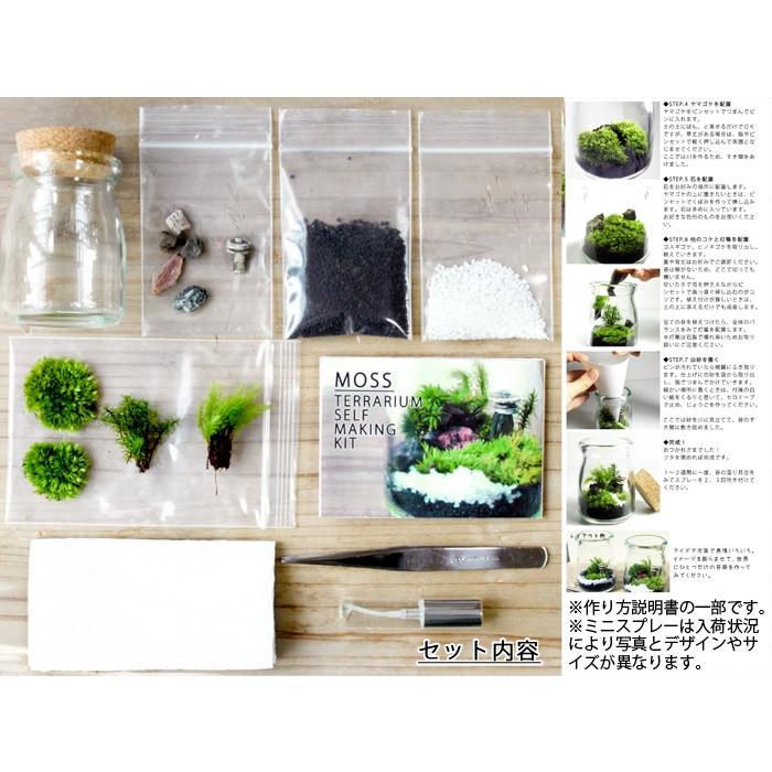 苔庭テラリウム手作りキット 植物 DIY ギフト プレゼント レビューでおまけ 定形外OK｜mofumofumoss｜03