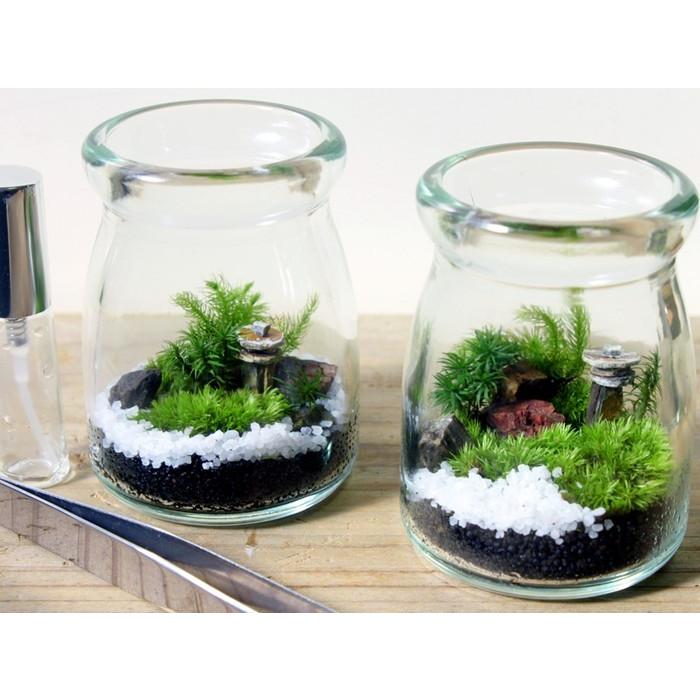 苔庭テラリウム手作りキット 植物 DIY ギフト プレゼント レビューでおまけ 定形外OK｜mofumofumoss｜04