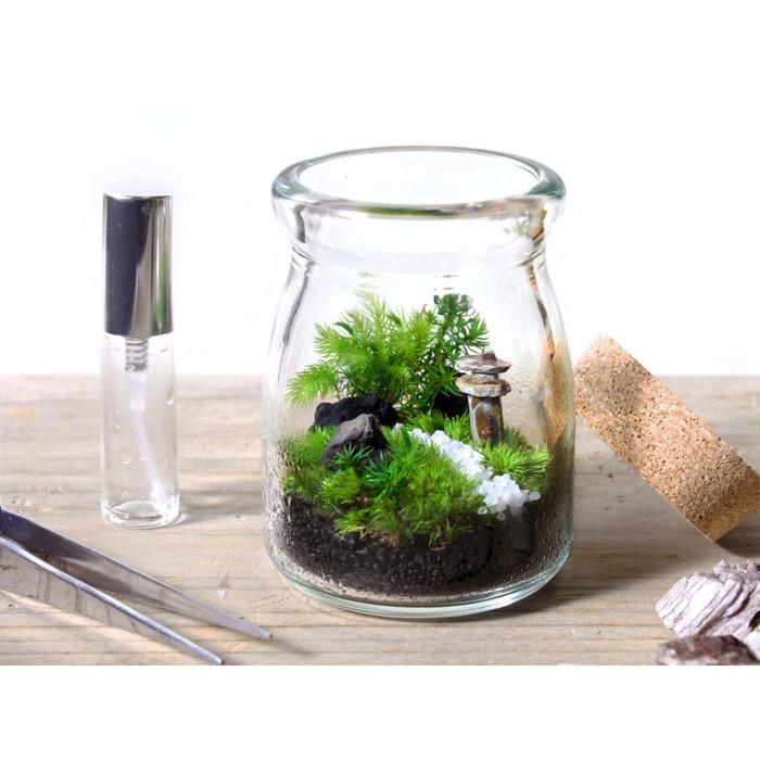苔庭テラリウム手作りキット 植物 Diy ギフト プレゼント レビューでおまけ 定形外ok Tr1007 苔テラリウム 雑貨mofumofu Moss 通販 Yahoo ショッピング