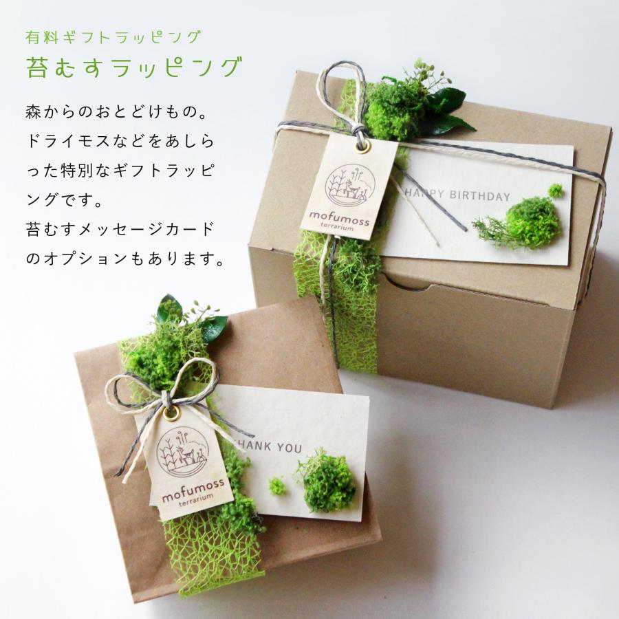 苔庭テラリウム手作りキット 植物 DIY ギフト プレゼント ハンドメイド