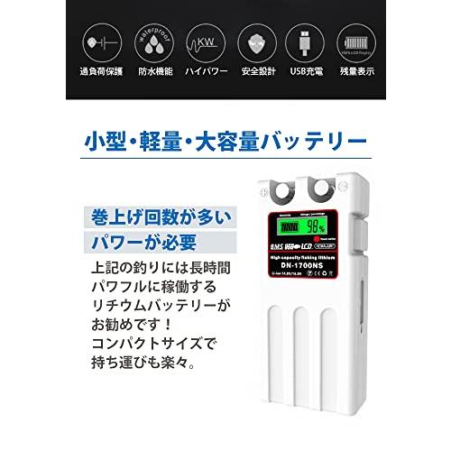 HEMAJUN（ヘマジュン） 電動リール スーパーリチウム バッテリー 