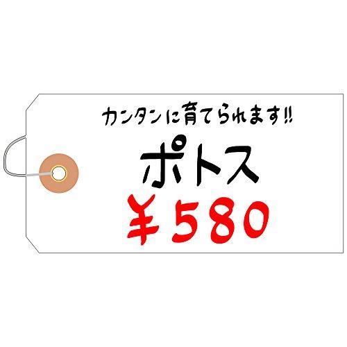 【500円引きクーポン】 タカ印 タグ 25-170 布荷札 防水加工 大 1000枚 白
