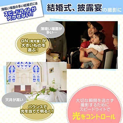 Nikon フラッシュ スピードライト SB-700 SB