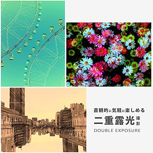 BONZART ZIEGEL ボンザートツイーゲル (ターコイズ) ターコイズ 別売り ×