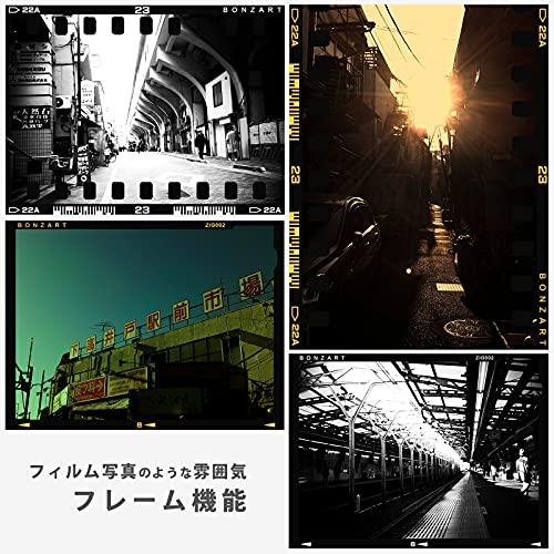 BONZART ZIEGEL ボンザートツイーゲル (ターコイズ) ターコイズ 別売り ×