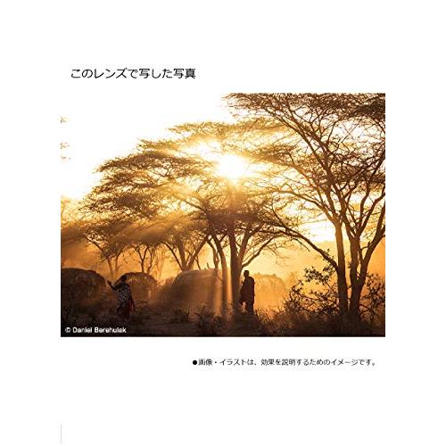 【国産】 パナソニック 望遠ズームレンズ マイクロフォーサーズ用 ルミックス G X VARIO 35-100mm/F2.8 II /POWER O.I. 【CEG1353768579】(48438円)