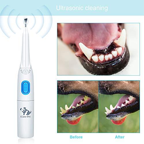 犬の電動歯ブラシ、犬と猫に適しています 