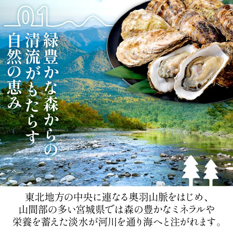 送料無料 宮城県産 超特大 牡蠣むき身5L 1kg(NET850g) 加熱用 カキ
