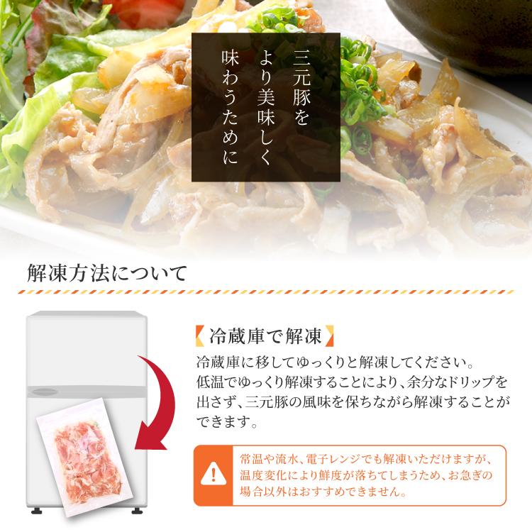 送料無料 国産 三元豚の切り落とし 3kg(250g×12) 三元豚 もち豚 豚肉