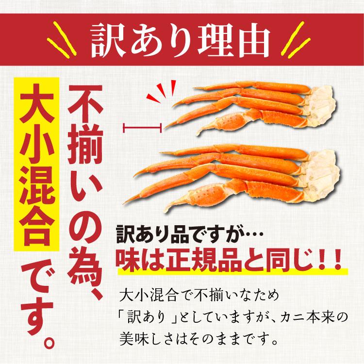 ズワイ蟹(ボイルセクション)訳あり品 送料無料 訳あり 大小混合 ロシア産 ボイルずわい脚2kg（NET1.6kg） 8
