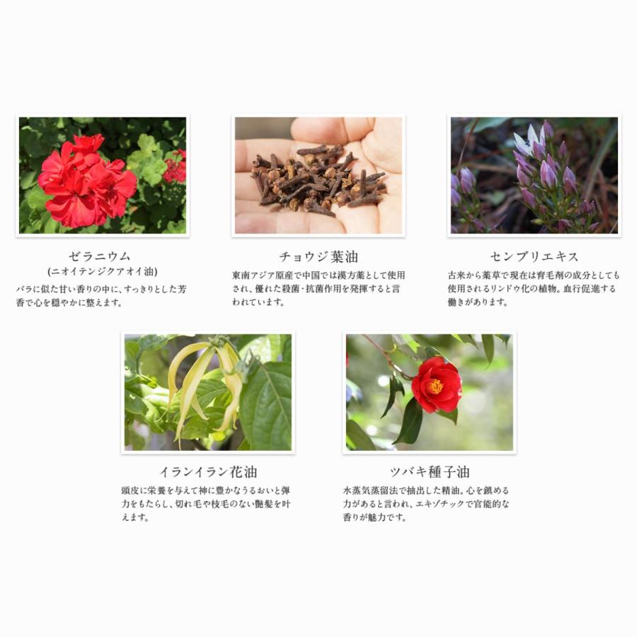 【セットで10%OFF】MOGANS 薬用 スカルプシャンプー＆コンディショナー セット 草花(そうか) 各300mL 医薬部外品 アミノ酸 モーガンズ | mogans | 11