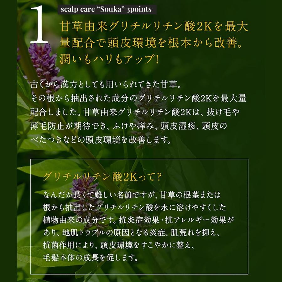 【セットで10%OFF】MOGANS 薬用 スカルプシャンプー＆コンディショナー セット 草花(そうか) 各300mL 医薬部外品 アミノ酸 モーガンズ | mogans | 06