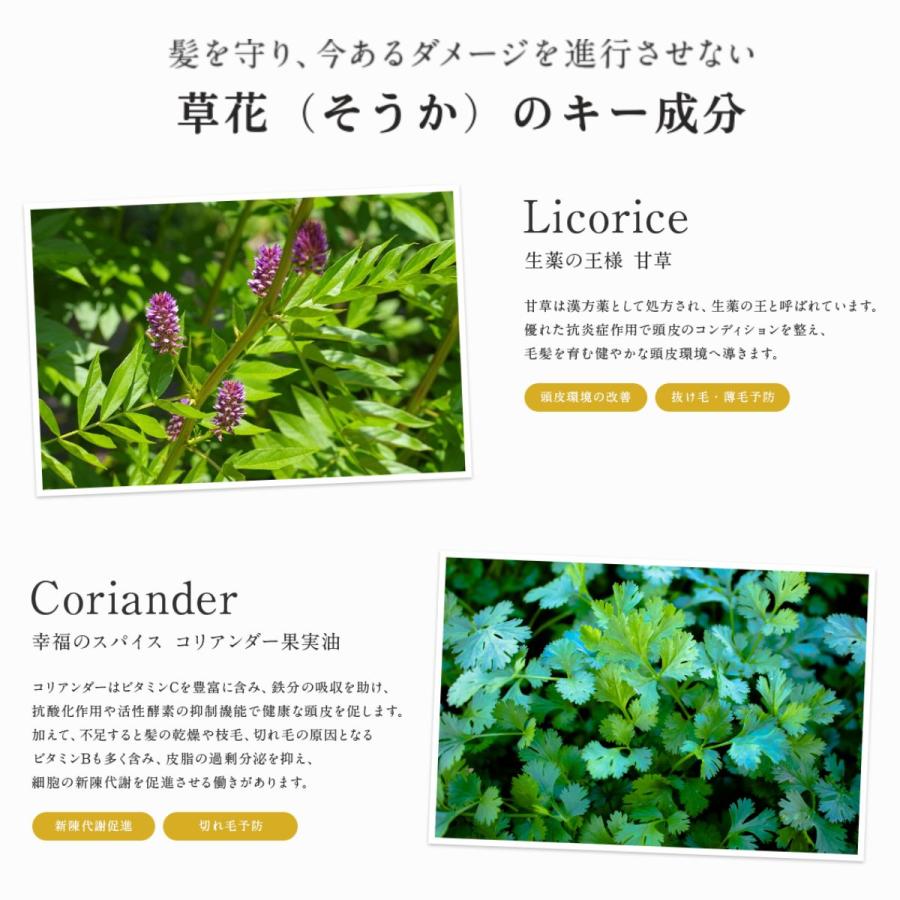 【セットで10%OFF】MOGANS 薬用 スカルプシャンプー＆コンディショナー セット 草花(そうか) 各300mL 医薬部外品 アミノ酸 モーガンズ | mogans | 10