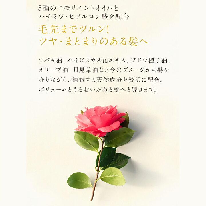 MOGANS(モーガンズ) 白樹(はくじゅ) ノンシリコン アミノ酸コンディショナー 300mL ケラチン配合 トリートメント効果 | mogans | 11