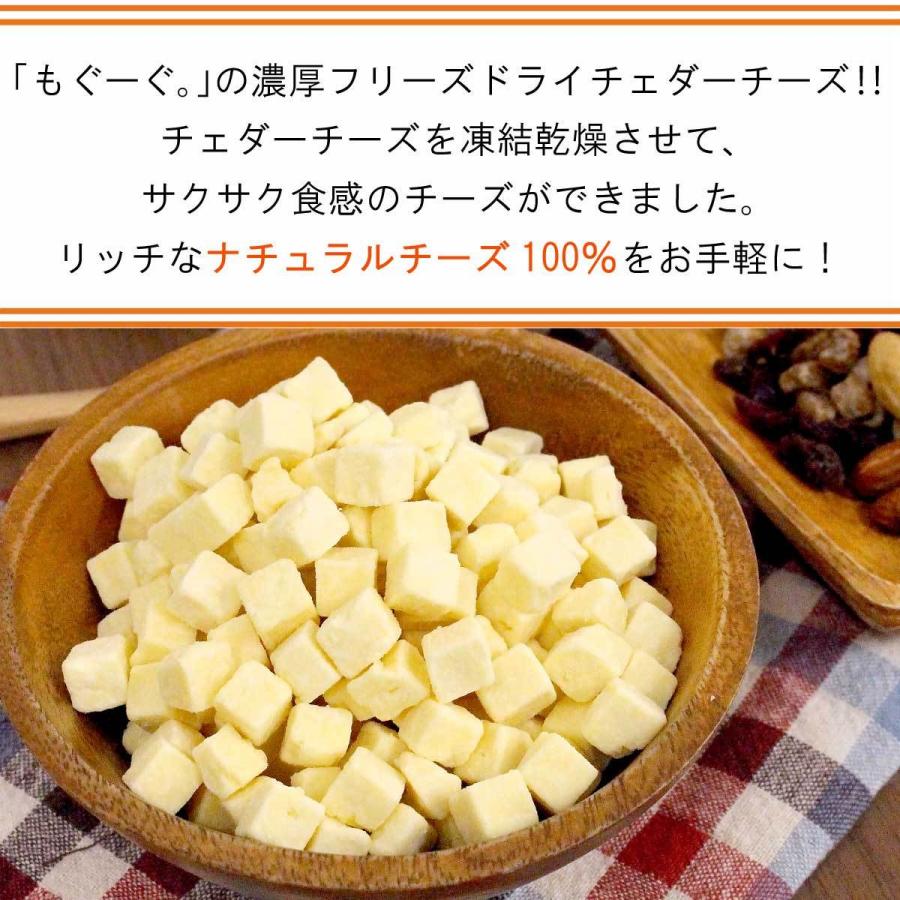TOMOGUCHI（友口） 魅惑の濃厚フリーズドライチェダーチーズ 480g