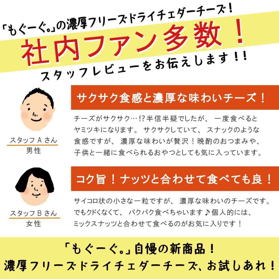 魅惑の濃厚フリーズドライチェダーチーズ 540g フリーズドライチーズ キューブ お菓子 お酒 ビール おつまみ おやつ モグーグ｜mogoog｜09