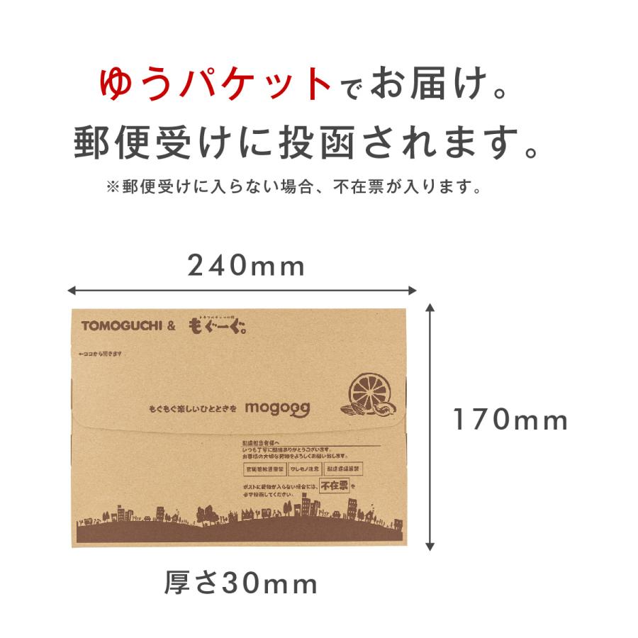 魅惑のいかソーメン 200g 送料無料 いか おやつ イカ スルメ ひとくち おつまみ お酒 ビール 晩酌 ウイスキー ジャーキー チップ 業務用 おためし お試し｜mogoog｜11