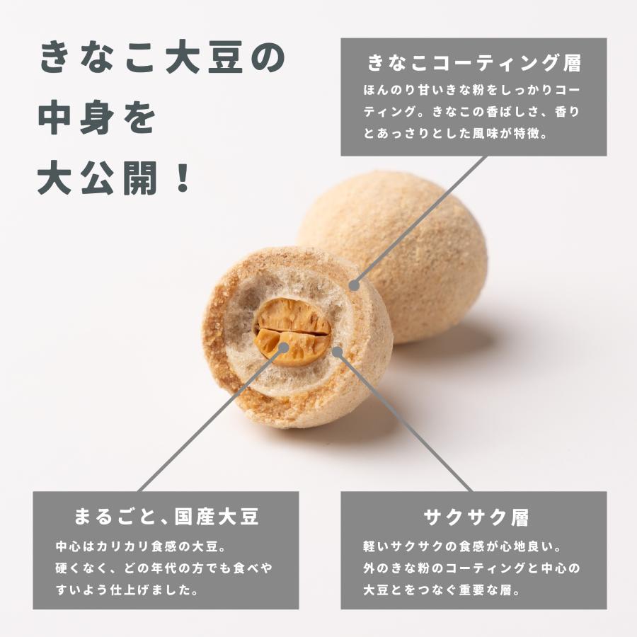 TOMOGUCHI 国産きなこ大豆 405g 茶 大豆 きなこ お菓子 きな粉大豆 豆 