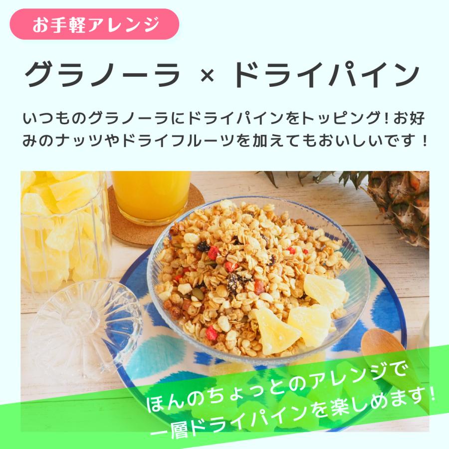 TOMOGUCHI（友口） 魅惑のジューシードライパイン 270g パインアップル