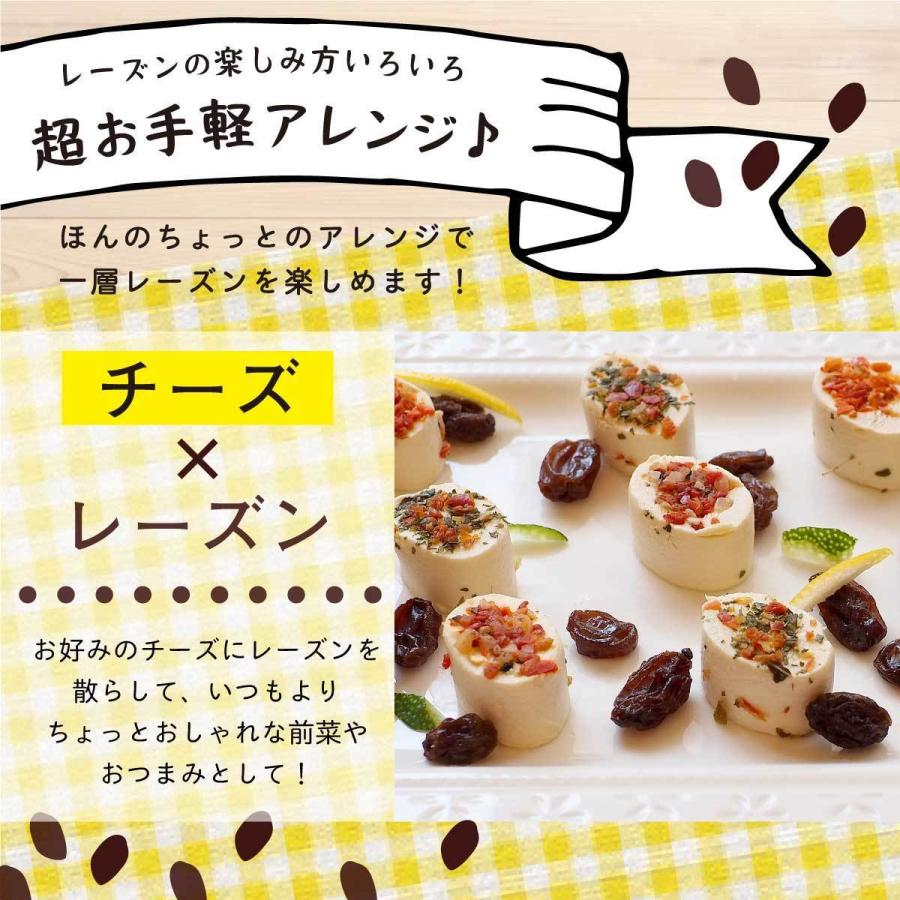 TOMOGUCHI（友口） 魅惑のノンオイルレーズン 700g カリフォルニア産