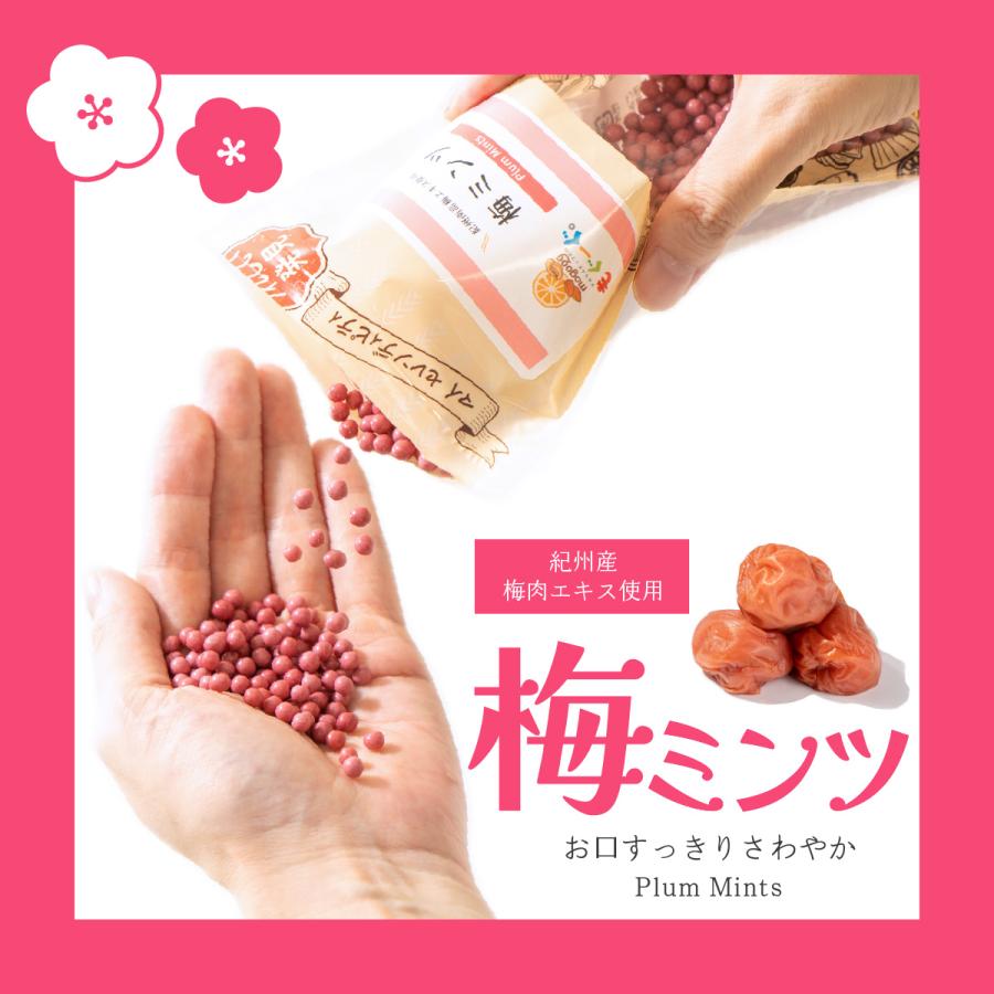 TOMOGUCHI（友口） 魅惑の梅ミンツ 300g 紀州産梅 大容量 大人買い