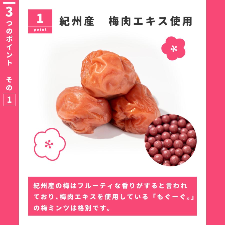 TOMOGUCHI（友口） 魅惑の梅ミンツ 300g 紀州産梅 大容量 大人買い