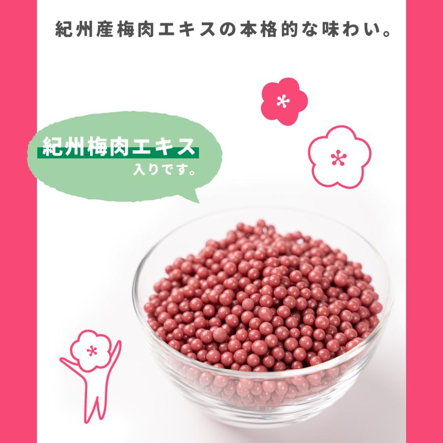 TOMOGUCHI（友口） 魅惑の梅ミンツ 300g 紀州産梅 大容量 大人買い
