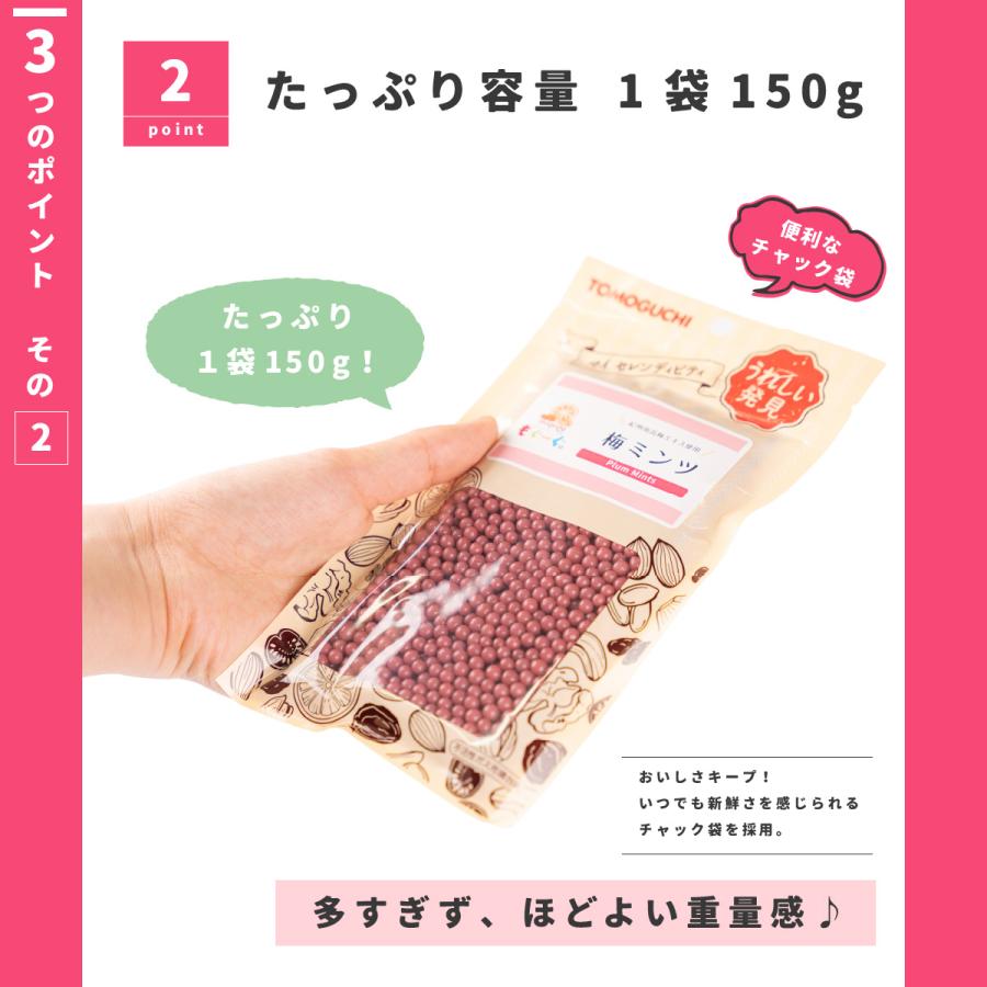 TOMOGUCHI（友口） 魅惑の梅ミンツ 300g 紀州産梅 大容量 大人買い