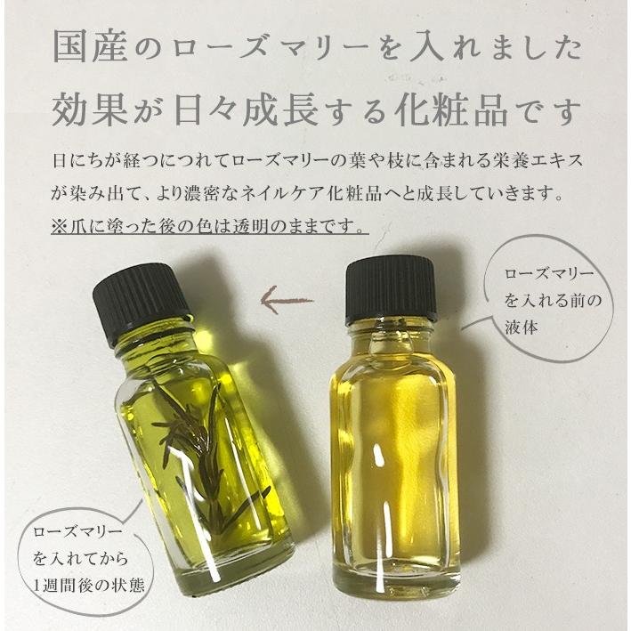 ネイルオイル ネイルケア オイル 用品 花 瓶詰生ハーブ ハーブ ネイル アロマ トリートメント ボトリング 薄爪 割れ爪 爪ケア 巻き爪 アロマ :005:MOGO shop - 通販 - Yahoo!ショッピング ネイルオイル ネイルケア オイル 用品 花 瓶詰生ハーブ ハーブ ネイル アロマ トリートメント ボトリング 薄爪 割れ爪 爪ケア 巻き爪 アロマ :005:MOGO shop - 通販 - Yahoo!ショッピング