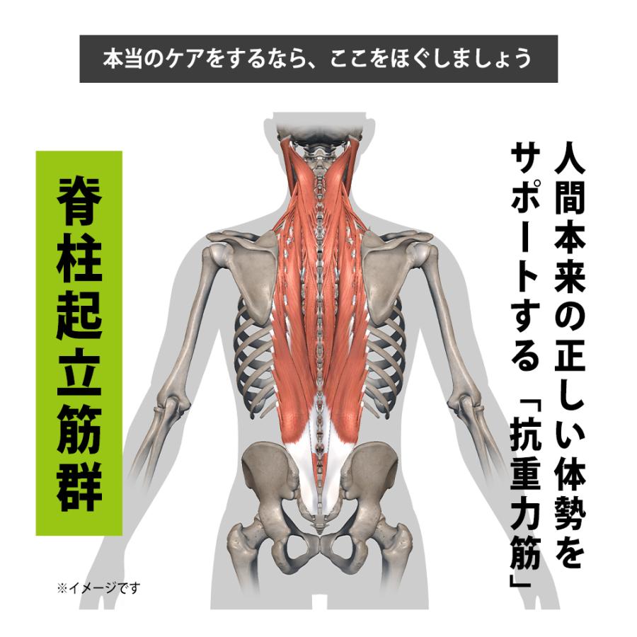 タイボールズ　エッグス ミニ |  | 12