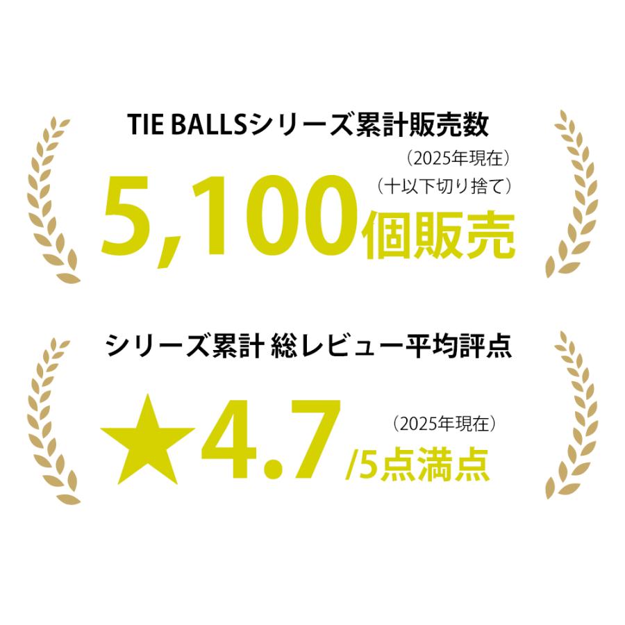 TIE BALLS Botanic HAMMER（タイボールズ　ボタニックハンマー）姿勢を正す整体ハンマー |  | 03