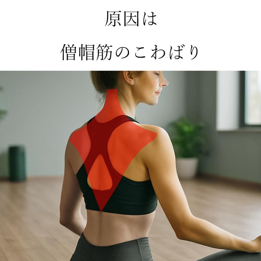 TIE BALLS NECK LIFT（タイボールズ　ネックリフト） |  | 04